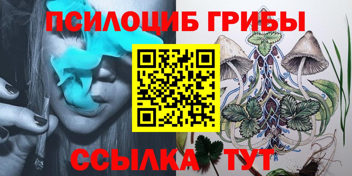 Псилоцибиновые грибы ЛСД Новоалександровск